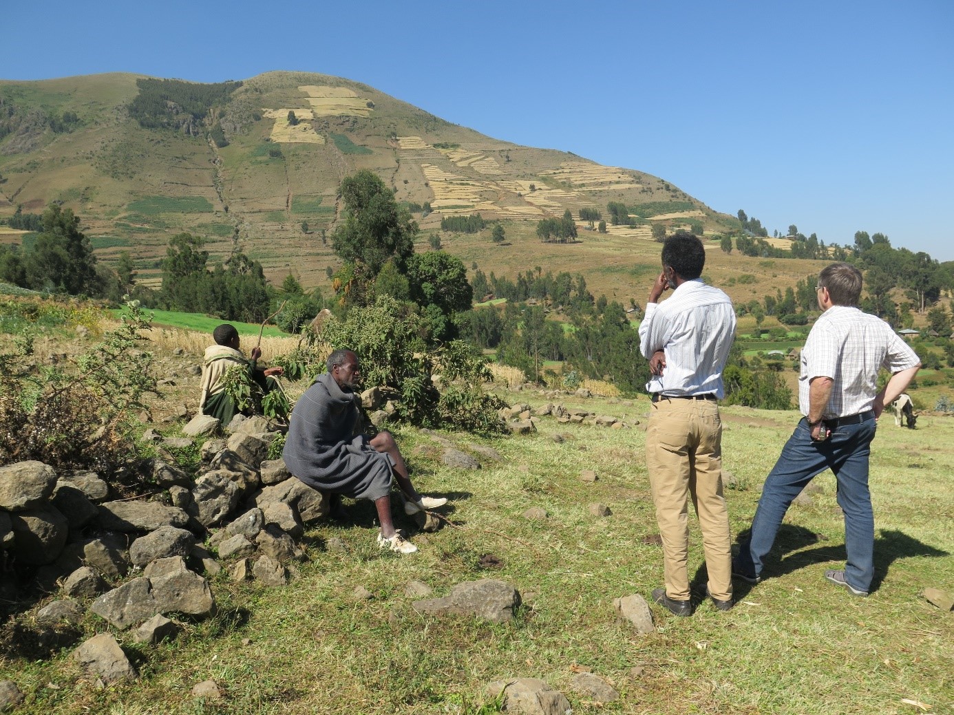 Demonstration field where they cultivate different types of trees and grains